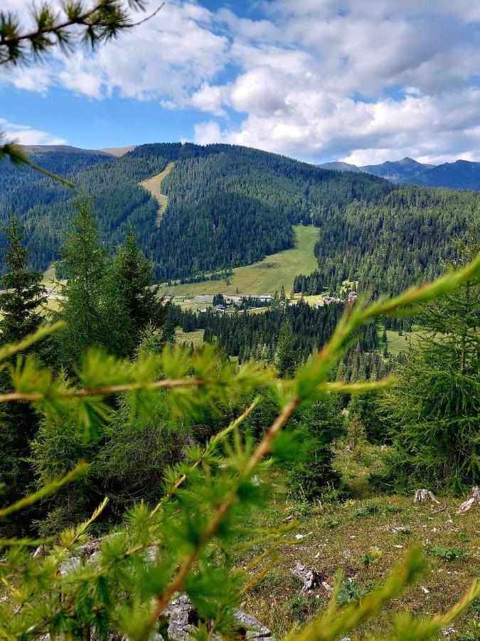 Almhaus Kärnten Flattnitz Exteriör bild